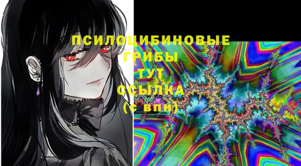 гидропоника Ельня