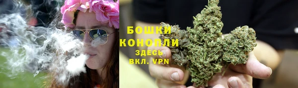 гидропоника Ельня