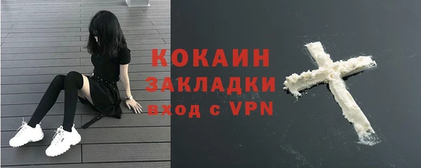 гидропоника Ельня