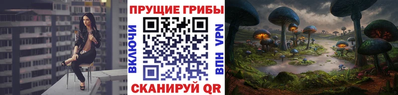 Галлюциногенные грибы мухоморы  Новомосковск 